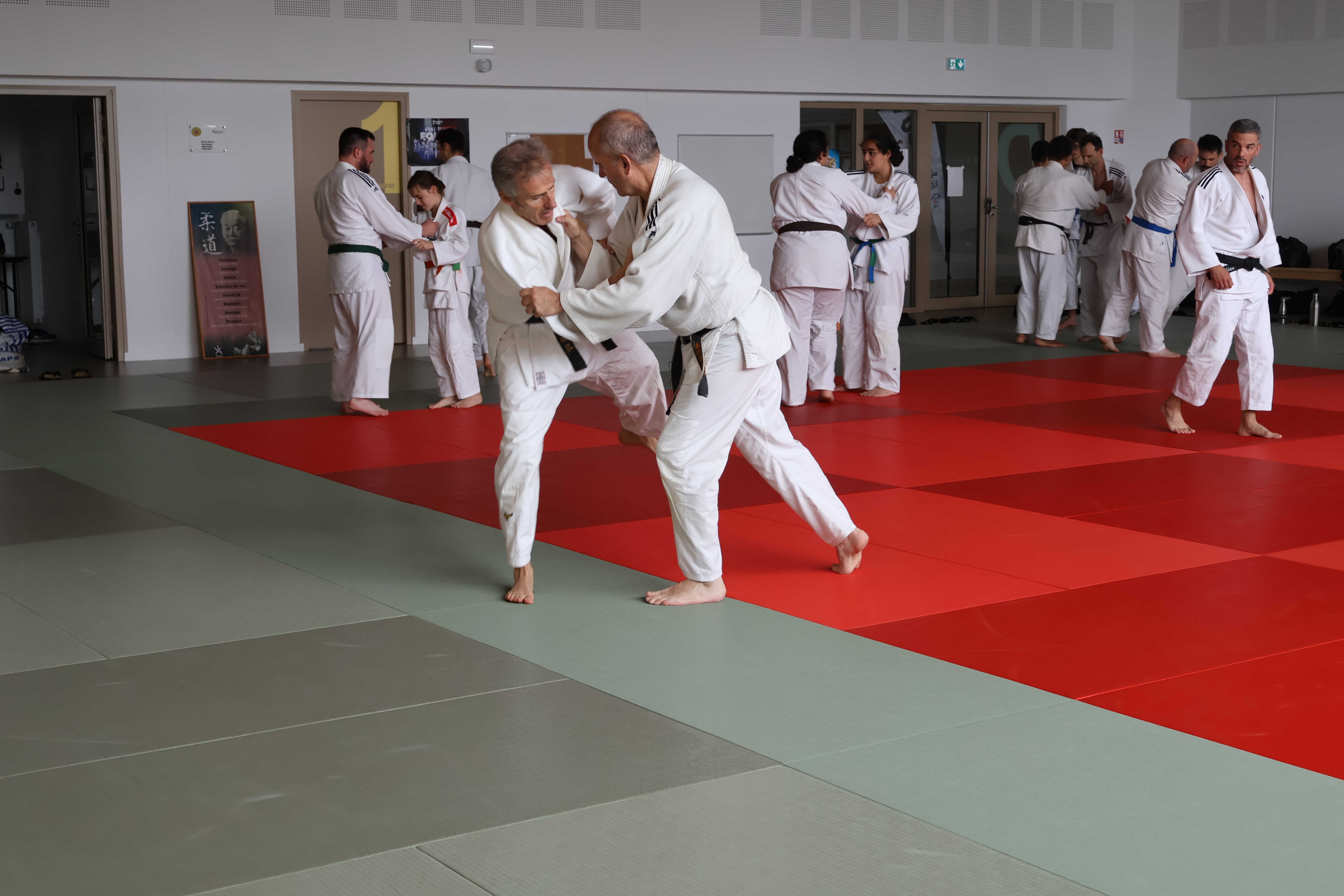 Judo
